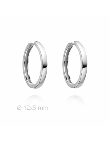 Pendientes de Plata 2140796/12 - Elegancia y Sofisticación
