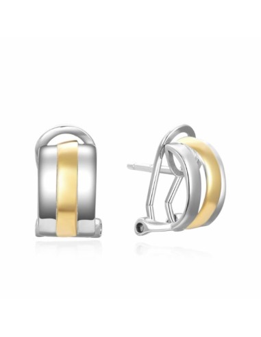 PENDIENTES OMEGA BICOLOR PLATA 1ª LEY