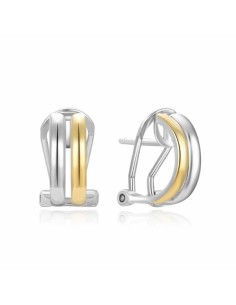 PENDIENTES OMEGA BICOLOR LINEA PLATA 1ª LEY