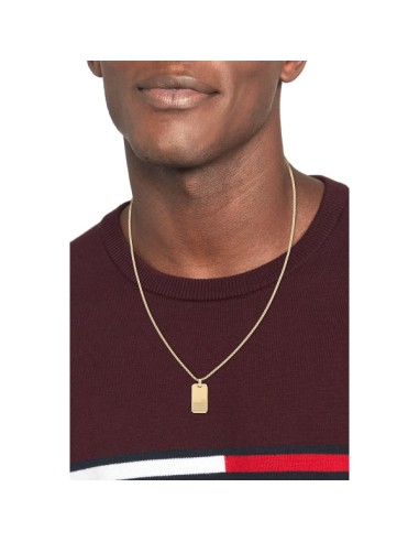 Gargantilla Tommy Hilfiger Hombre Acero dorado