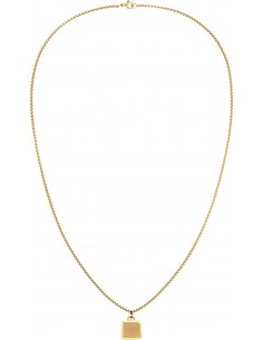 GARGANTILLA CABALLERO CHAPA ACERO