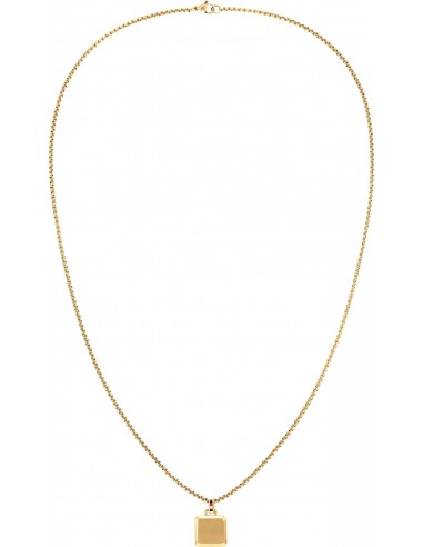 GARGANTILLA CABALLERO CHAPA ACERO