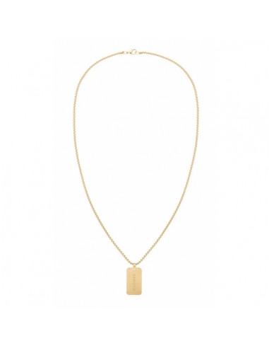 Gargantilla Tommy Hilfiger Hombre Acero dorado