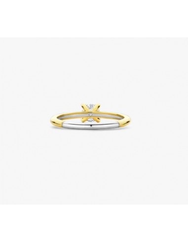 Anillo media alianza circonitas